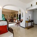 Campomanus فيلة